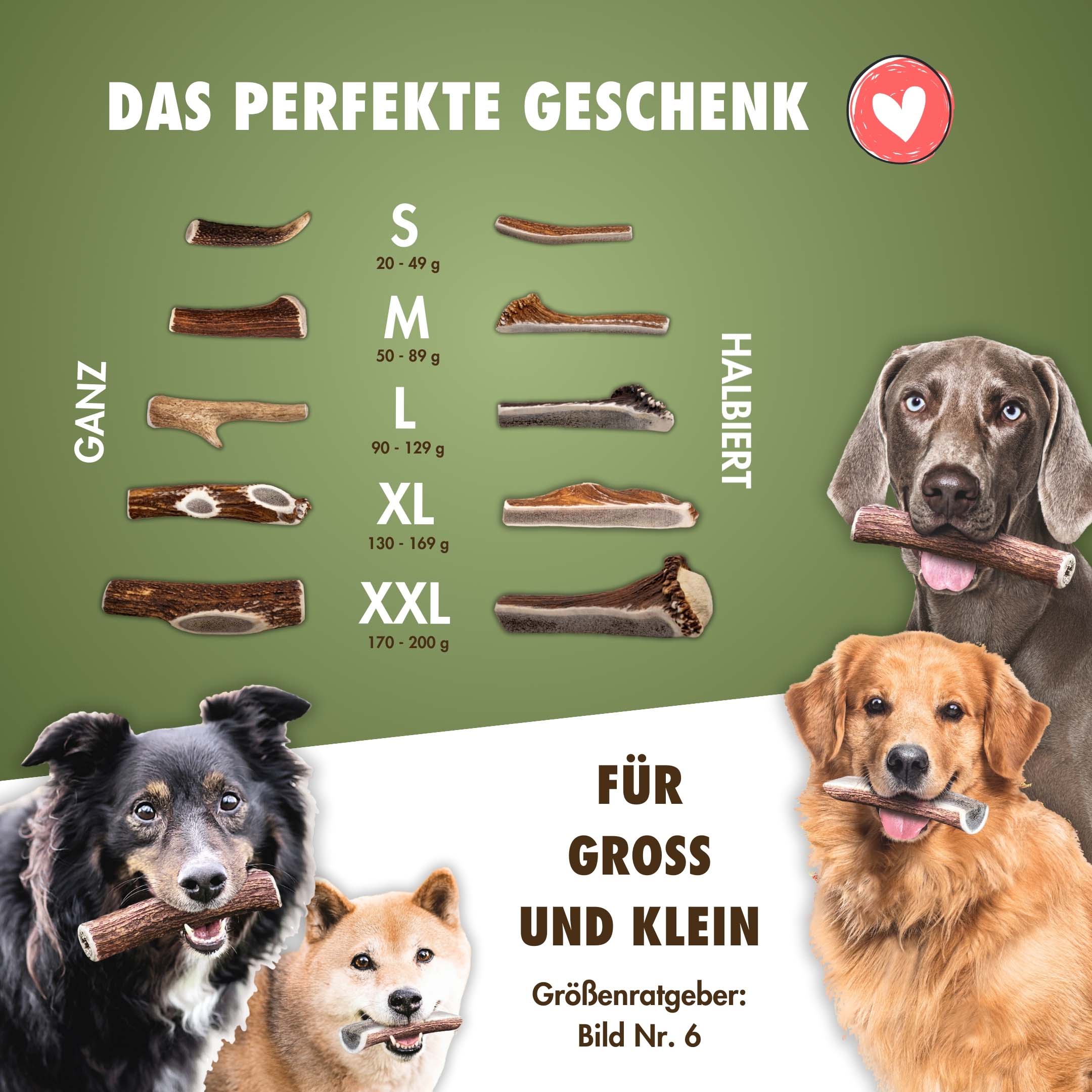 Natürlicher Kauspaß für Hunde aus 100% Hirschgeweih
