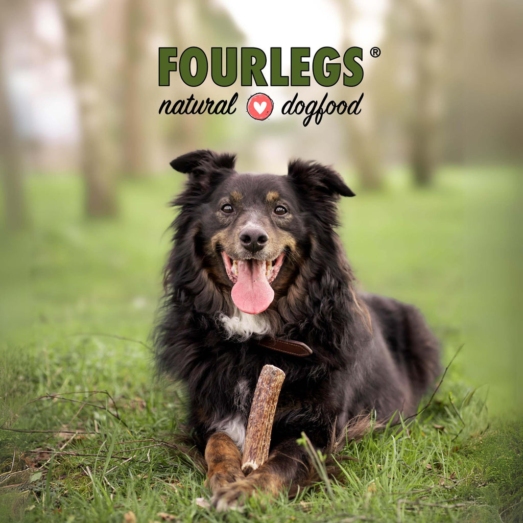 Natürlicher Kauspaß für Hunde aus 100% Hirschgeweih