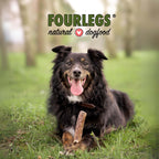 Natürlicher Kauspaß für Hunde aus 100% Hirschgeweih