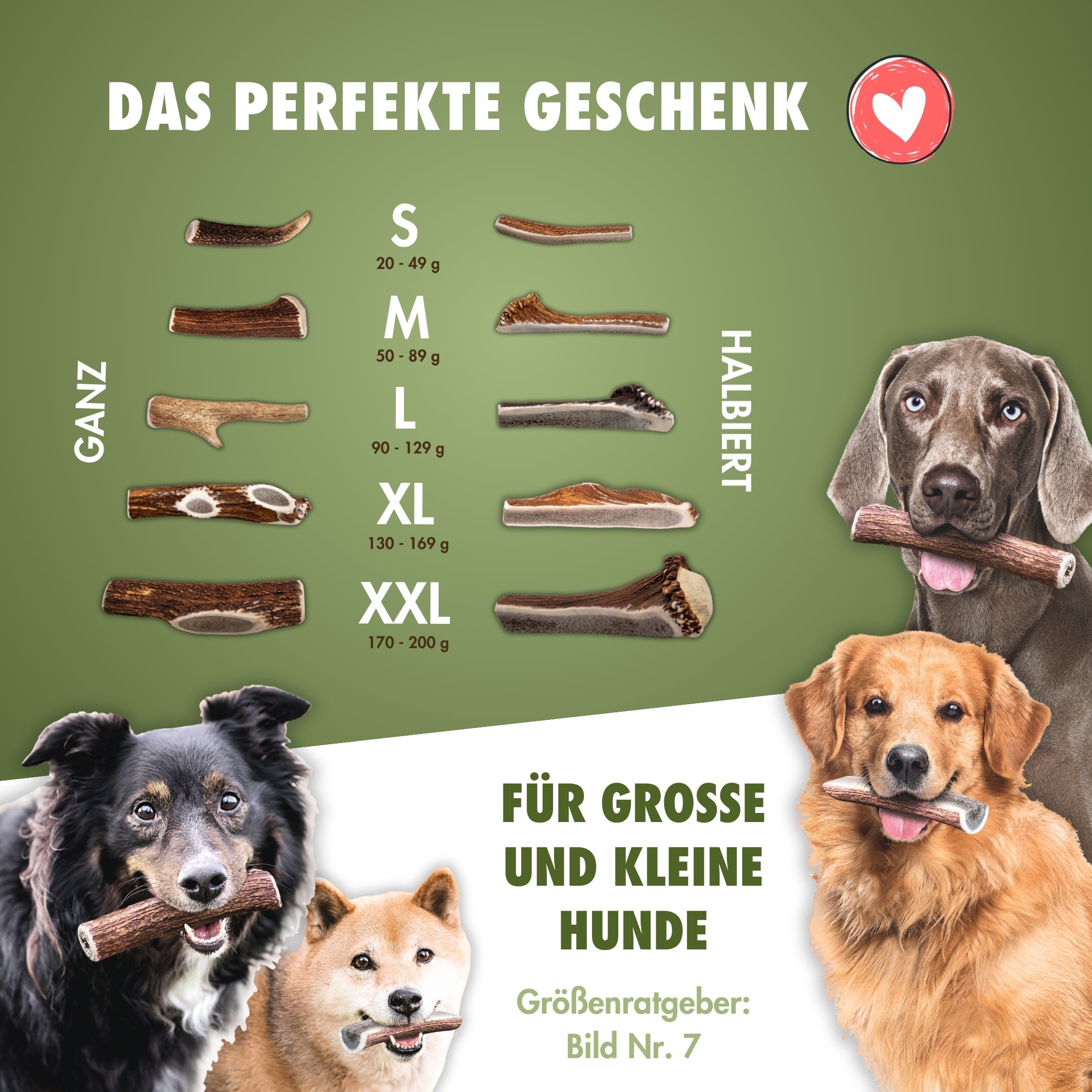Natürlicher Kauspaß für Hunde aus 100% Hirschgeweih