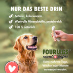 Natürlicher Kauspaß für Hunde aus 100% Hirschgeweih