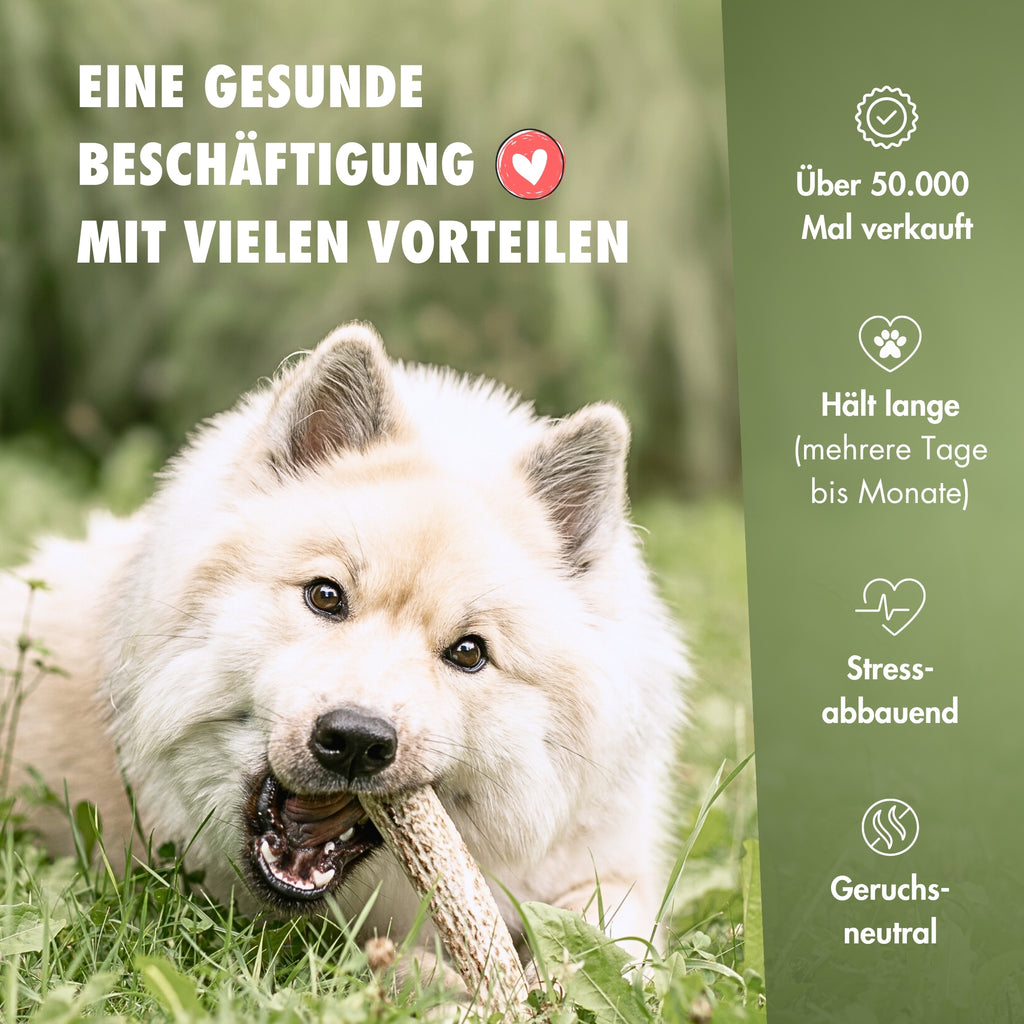 Natürlicher Kauspaß für Hunde aus 100% Hirschgeweih