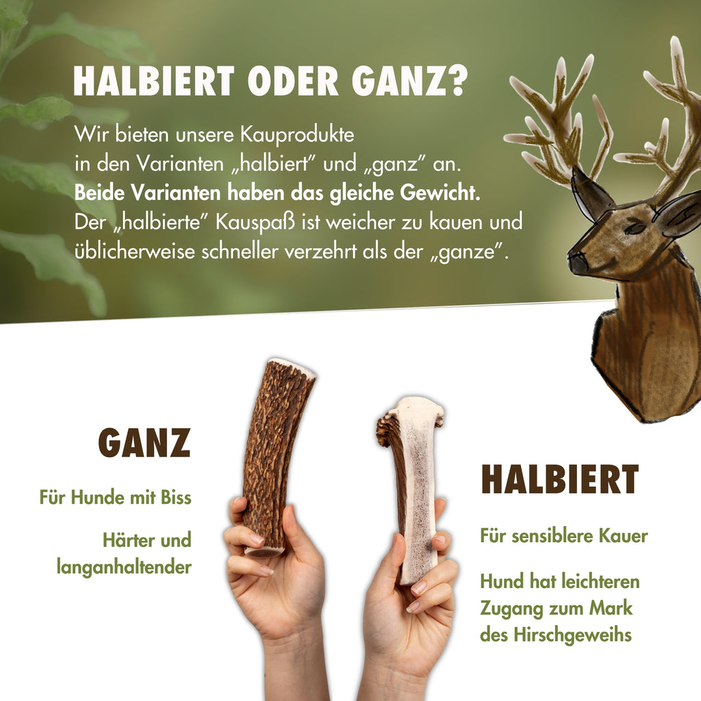 Natürlicher Kauspaß für Hunde aus 100% Hirschgeweih