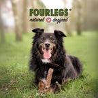 Natürlicher Kauspaß für Hunde aus 100% Hirschgeweih