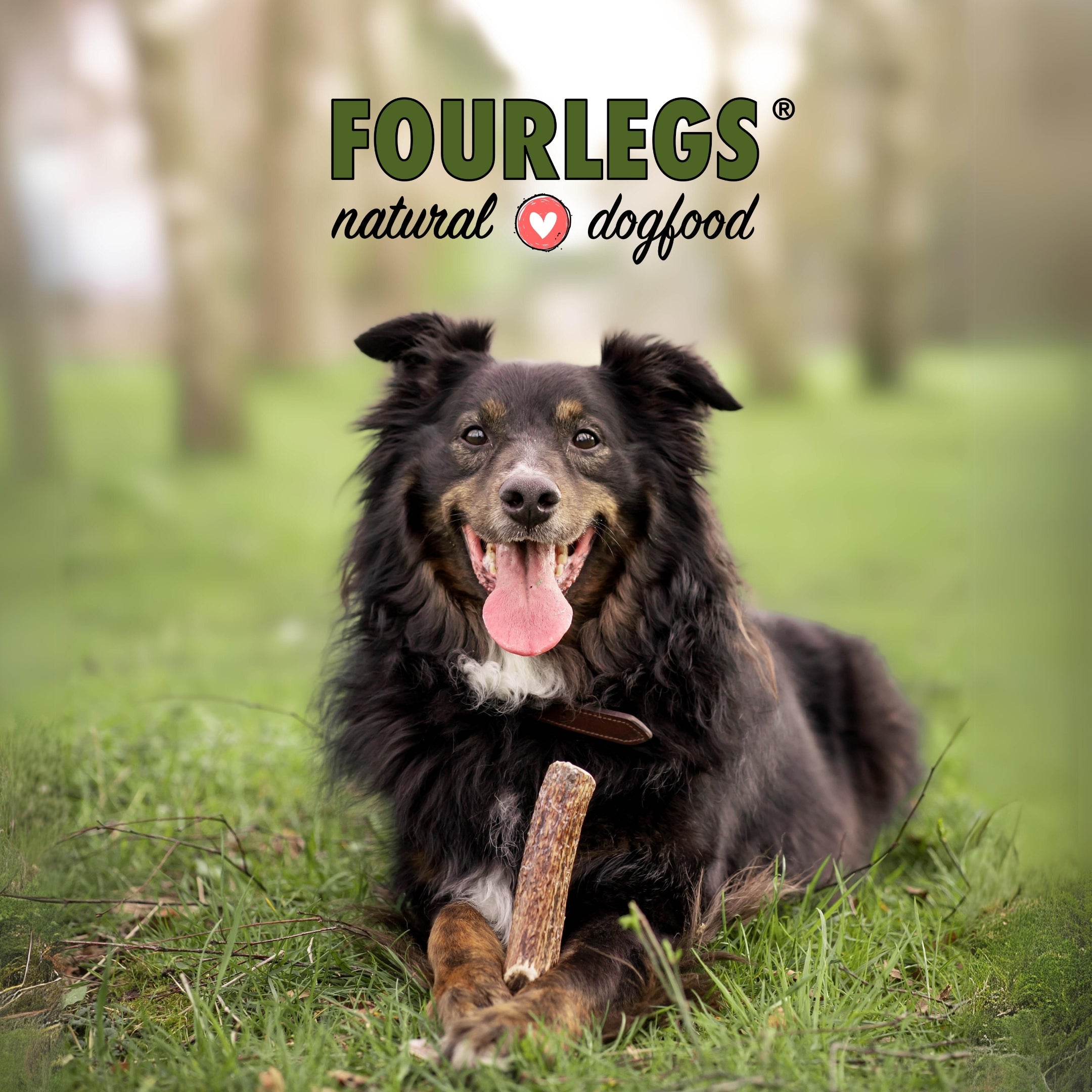Natürlicher Kauspaß für Hunde aus 100% Hirschgeweih